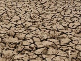 Photo España busca a las nuevas promesas Perú y México