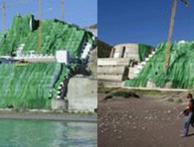 Pasividad ante la crisis