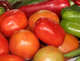 Autorizará Sedena equipamiento de armas