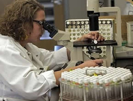 Precio de cesta OPEP cae a 42,98 dólares