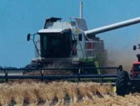 Desde el Sena. Genética y ética empresarial