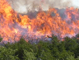 Sanabria contará con la última tecnología para la detección de incendios