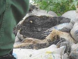 España vuelve a Irak bajo una resolución de la ONU similar a la que sirvió para retirar las tropas