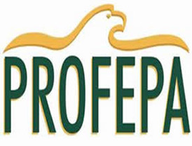 Patricio Patrón Laviada presentó su renuncia al frente de la PROFEPA