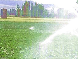 ¿Podrá la Sábana Santa 'cubrir' los últimos escándalos eclesiásticos?