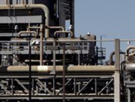 Políticos, instituciones y sociedad civil se unen