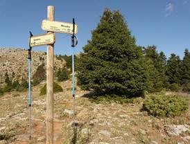 Unas 300 personas participan el domingo en una carrera que discurrirá por el Parque Natural Sierra de las Nieves