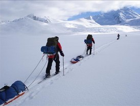 Festival de VIña del Mar