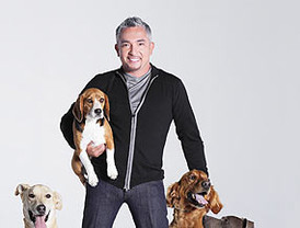 El número de andaluces residentes en otras regiones cae un 1,1, hasta los 1.531.668 personas