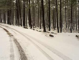 Veracruz pide declaratoria de emergencia para 78 municipios