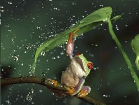 Al descubierto los 67 españoles investigados judicialmente por ocultar 170 millones en Liechtenstein