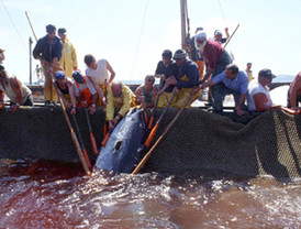 Se fragua la primera alianza por elecciones presidenciales