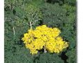 El Colegio de Arquitectos protesta por el futuro de la carrera