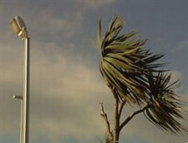 ICV proposa crear un operador energètic per impulsar les renovables i generar ocupació