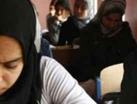 Modificarán senadores más de 10 leyes federales