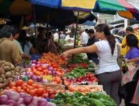 Felipe Calderón pide apoyo a los gobernadores en la reforma judicial