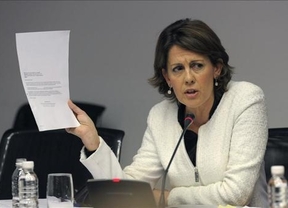 Rubalcaba impone la calma en Navarra: decide no presentar moción de censura contra Barcina