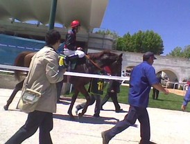 Prevención y seguridad