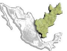 A La Roja le falta algo