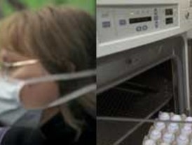 Más de 170 países presentan sus ofertas en un año marcado por la crisis