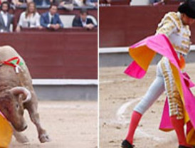 Una de pintura: la noche del jueves, para Sotomayor