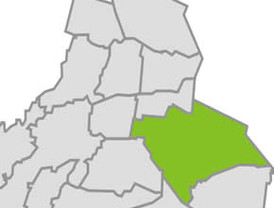 Griñán: 'Voy a ser el candidato en 2012'