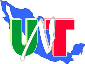 Los milagrosos archivos del ex comandante Raúl Reyes