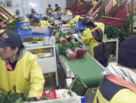 Avanzan las gestiones entre la UE y el MERCOSUR