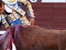 Magaly Solier lanza su página web