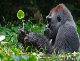 Im-presentables del domingo, 28 de febrero de 2010