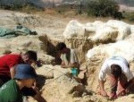 Campa prevé subidas 'muy moderadas' de la inflación en los próximos meses