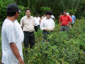 Garzón 'perdona' a miembros del PCTV... por estar de vacaciones