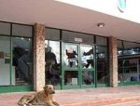 Venezuela insiste en complicidad de Colombia