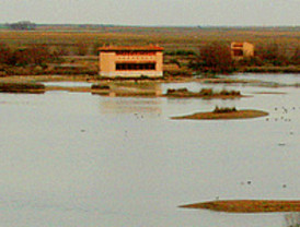 Pérez niega malversación de fondos de la salud