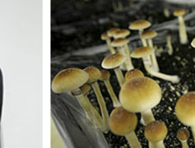 La Biblioteca y el Archivo Central son un 'activo de futuro impresionante' para Cantabria, según Revilla