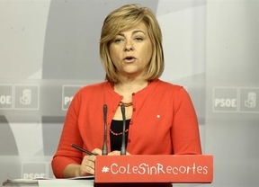 Valenciano pide a Cospedal que 'retire sus palabras' sobre la iniciativa 'Rodea el Congreso'