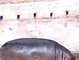 Ebrard plantea complementar estrategia de seguridad