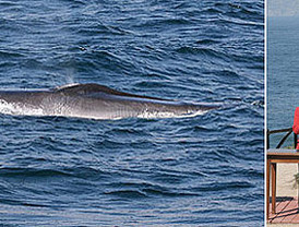 Filman juntos de Niro y Pacino tras 10 años