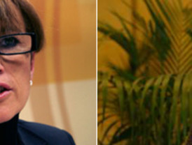 Experimentos con moscas de la fruta abren un nuevo frente contra el Alzheimer