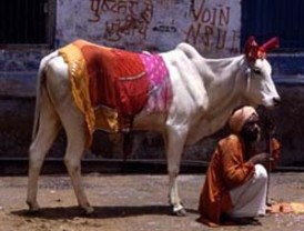 La Eurocámara y los 27 endurecerán las sanciones a países con déficit excesivo