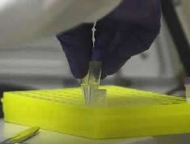 Empresas financiarán proyectos en Guinea y Panamá