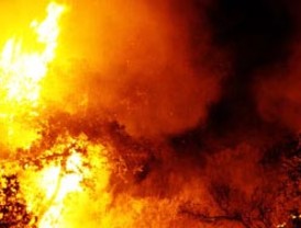 Israel da por controlado fuerte incendio forestal