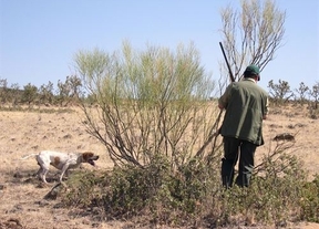Empleados de Agricultura, detenidos por su presunta implicación en un caso de fraude en los cotos de caza