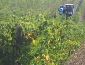 Embajador venezolano insinúa que los etarras declararon sobre su adiestramiento bajo tortura