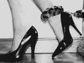 Empiezan celebraciones por el bicentenario