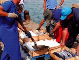 Deportes sin censura