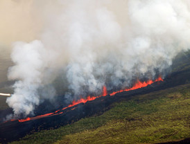 Nely Miranda primer oro para México