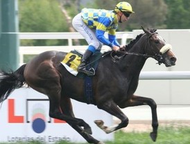 Dos Hermanas aguanta el chaparrón