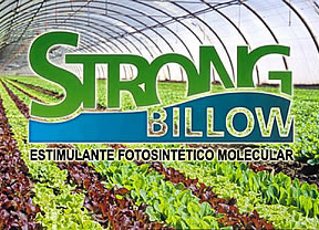 El nuevo fertilizante Strong Billow empieza a venderse en España