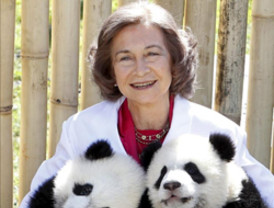 LQi: No se pierda un informativo diferente